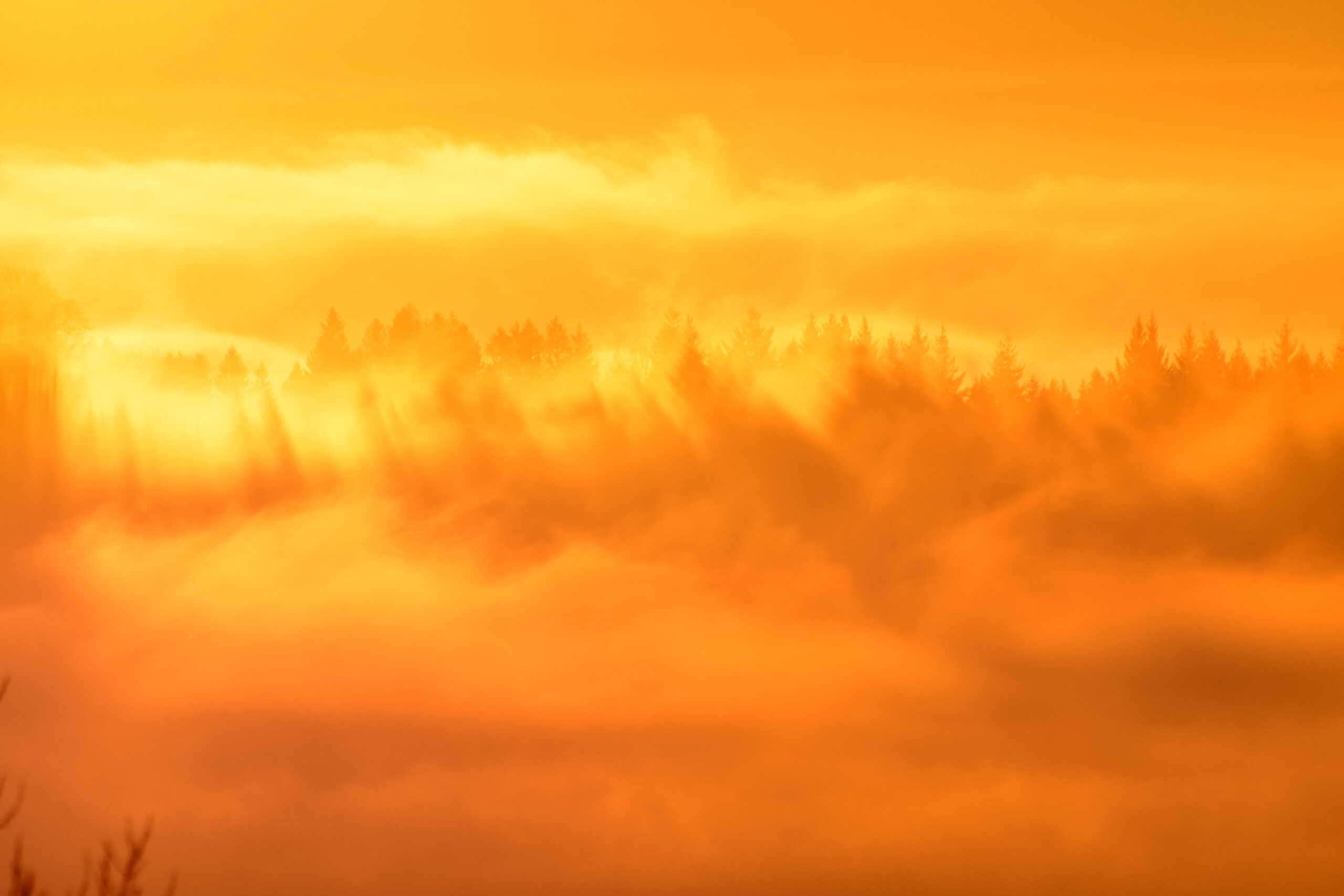 247 – Coup de coeur 2 AUBE 247 - Coup de coeur 2 AUBE