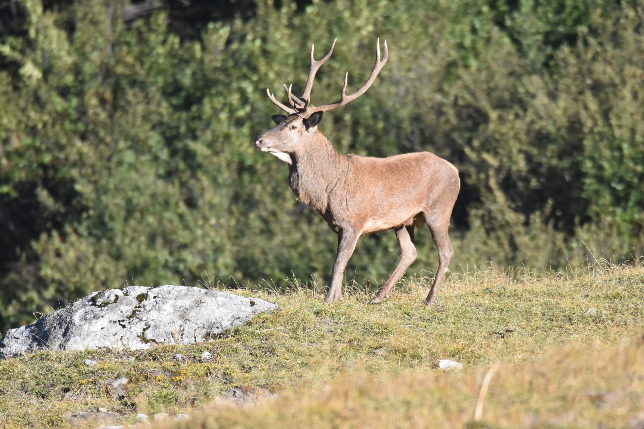 5- Montagnes @ Ralph Schafflützel
